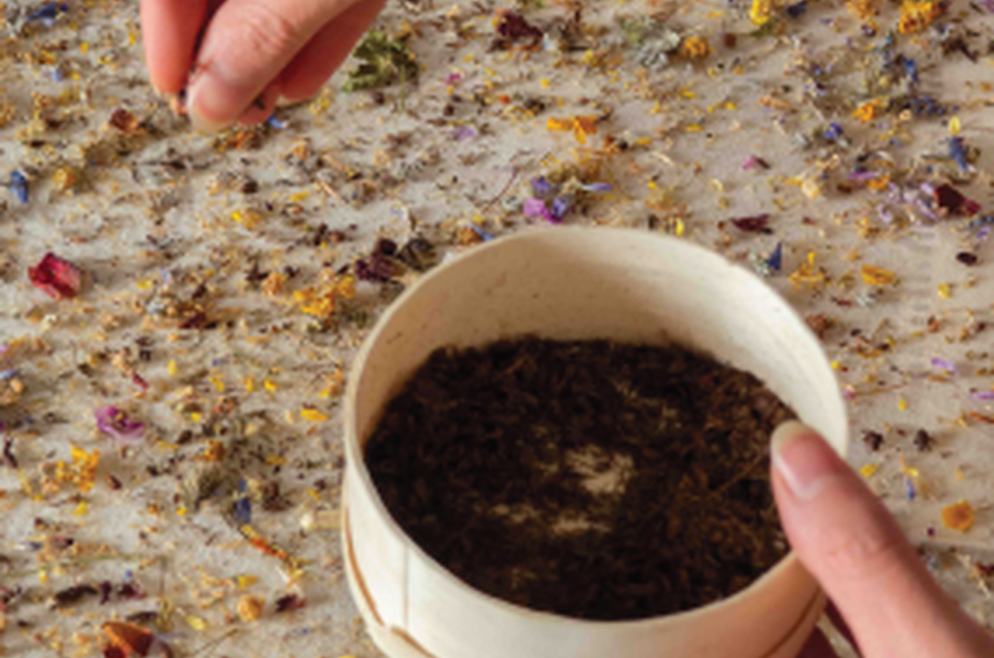 Workshop di Tintura Botanica