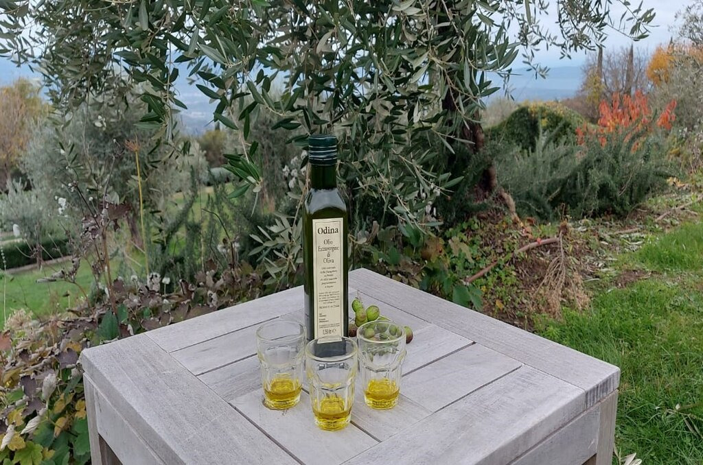 Degustazione di Olio